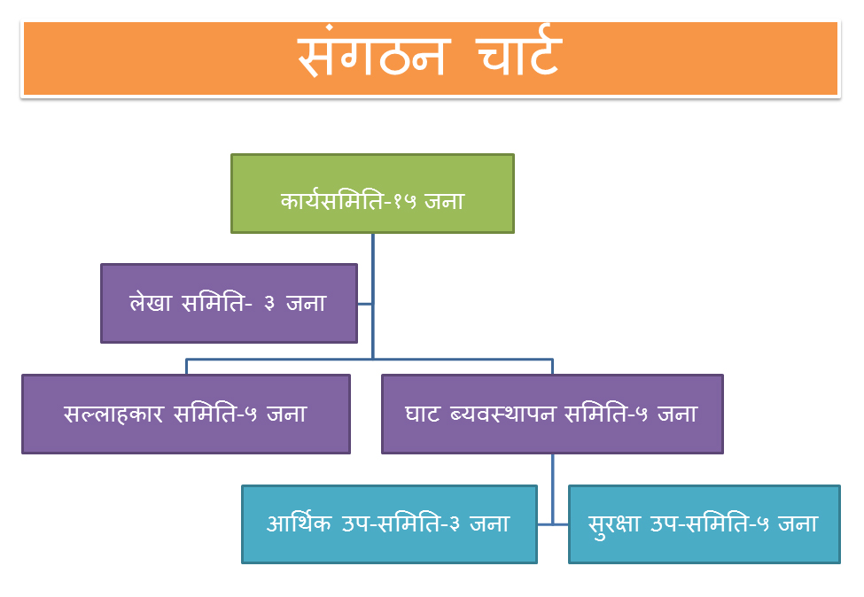 org chart